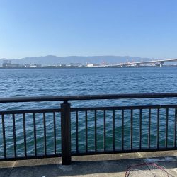 コブダイハント失敗