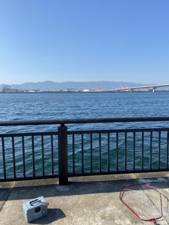 コブダイハント失敗