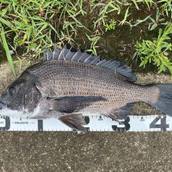 イチノ兄弟、釣果!