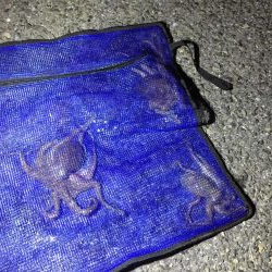 やっと釣れました