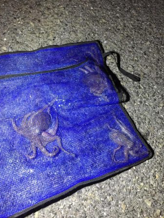 やっと釣れました