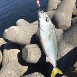 4目達成!今年初ドラゴン!