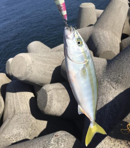 4目達成!今年初ドラゴン!