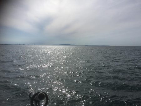 ハマチ狙いなんだけど。