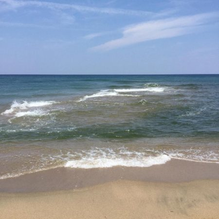 サーフ小型青物回遊