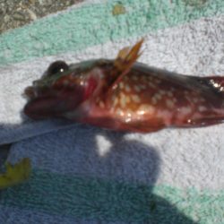 夫婦で市役所裏