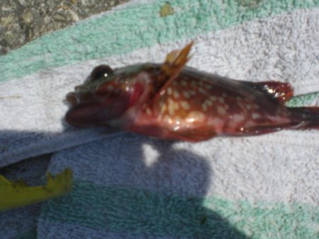 夫婦で市役所裏