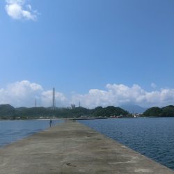 ルアーでキス釣り