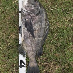 イチノ兄弟、釣果！