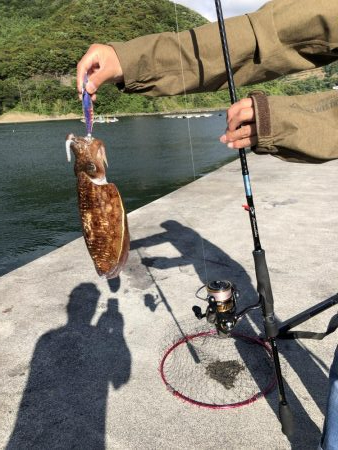 アオリイカ狙いからの…