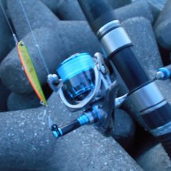 フッキング不可能？