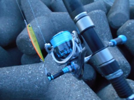 フッキング不可能？