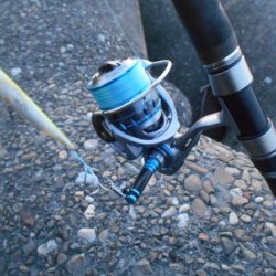 効果はあるのかな?