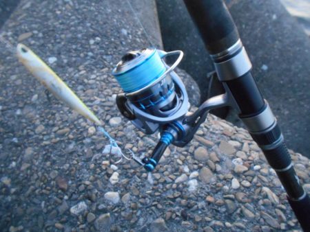 効果はあるのかな?