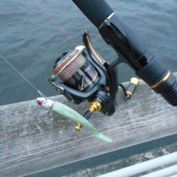 マイクロにはソリッドクリアで