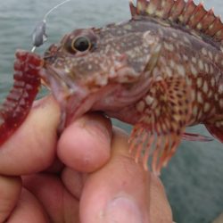 雨の中ワームのテスト