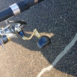 うれしい珍ゲスト！？