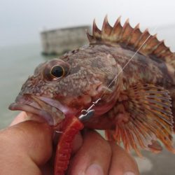 テキサスリグで沖のボトム狙い！！