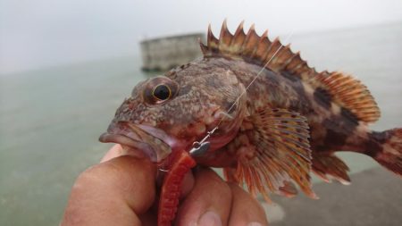 テキサスリグで沖のボトム狙い！！