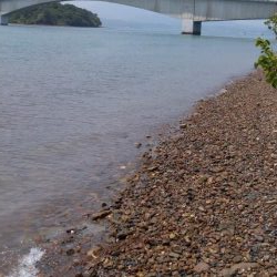 シーバス&キス釣り