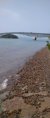 シーバス&キス釣り