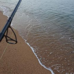 淡路フラット調査〜ソゲシーズン開幕!?