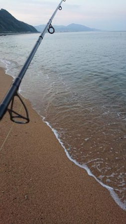 淡路フラット調査〜ソゲシーズン開幕!?