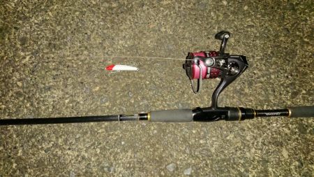 しごおわシーバス