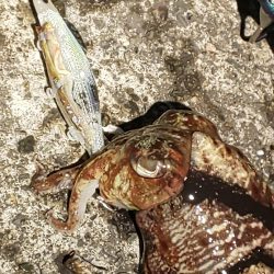 ソーシャルディスタンスを守って