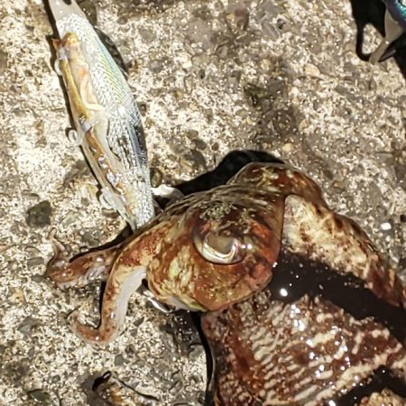 ソーシャルディスタンスを守って