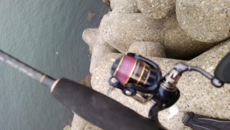 小サバしかいてない