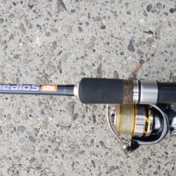 やっぱりサバ多いな！！