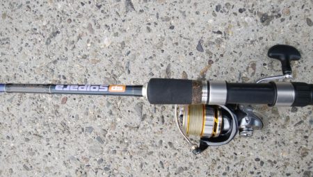 やっぱりサバ多いな！！