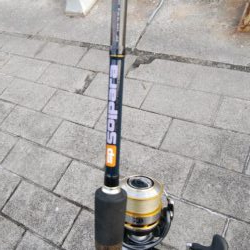 サバしか居てないやん