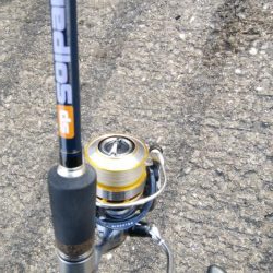 今日はツバスからサバの永遠ループ