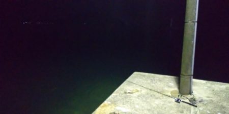 ヤリイカエギング