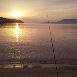 シロギスちょい投げ