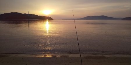 シロギスちょい投げ