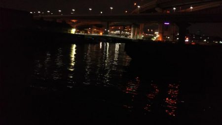 ぶらシーバス!!