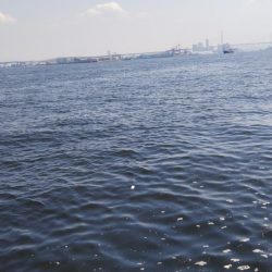 ぶらサバ祭！！