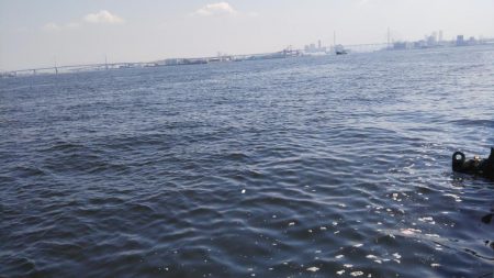 ぶらサバ祭！！