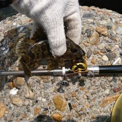 暑さの中での穴釣り