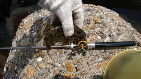 暑さの中での穴釣り