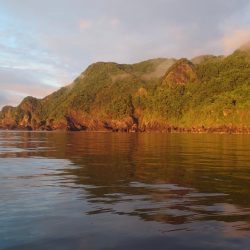 今シーズン最初のイカメタル