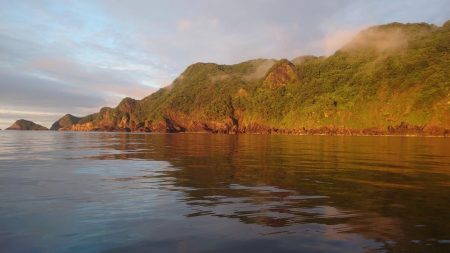 今シーズン最初のイカメタル