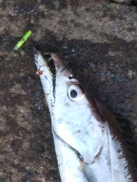 朝から気分爽快！