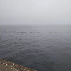 小雨の朝……そろそろ梅雨入り