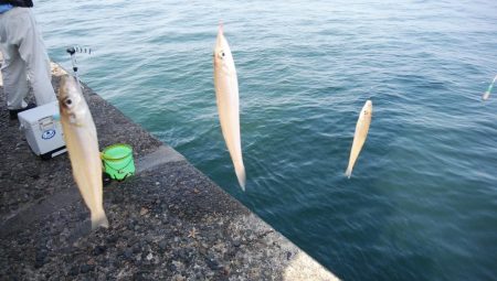 播磨新島キス連投