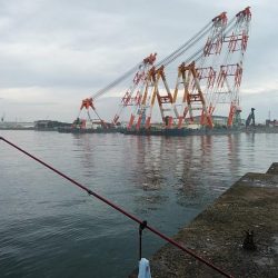 雨の播磨新島釣行