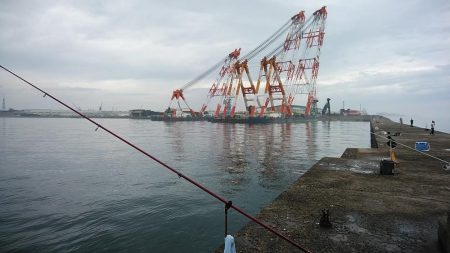 雨の播磨新島釣行